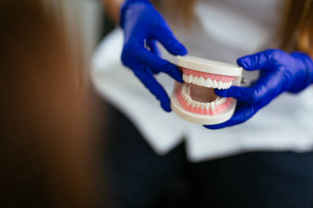 Best Full Mouth Reconstruction  in Melvindale, MI